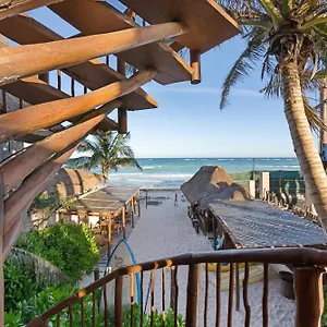 **** Hotell Playa Canek Beachfront Eco Mexiko
